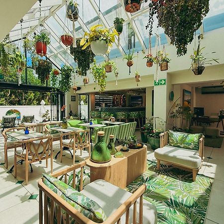 Le Petit Manoir Boutique Hotel Franschhoek Exteriér fotografie